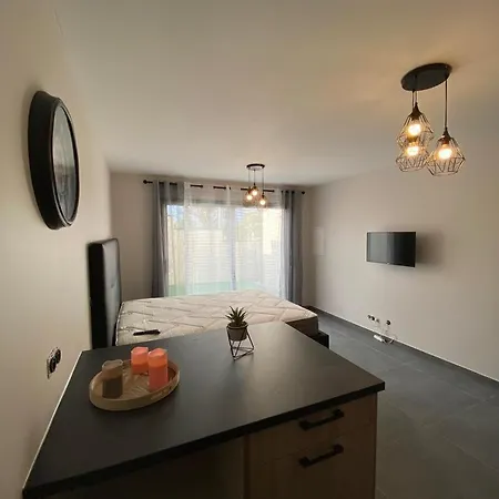 Apartment Superbe Avec Terrasse La Roche-sur-Foron